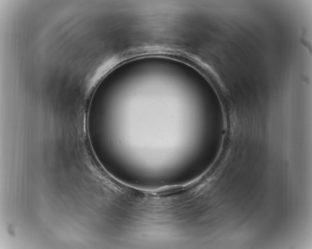 X0000102311365200807251429
