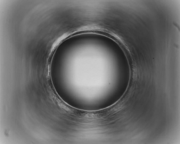 X0000102311366200807251429