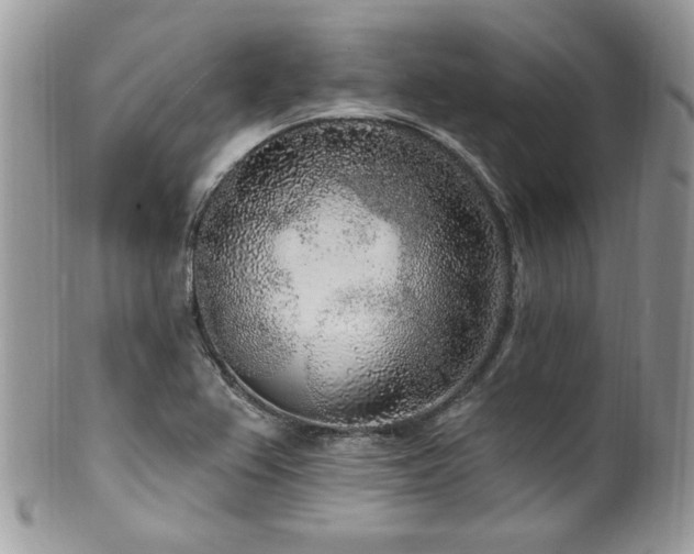 X0000102311367200807251429