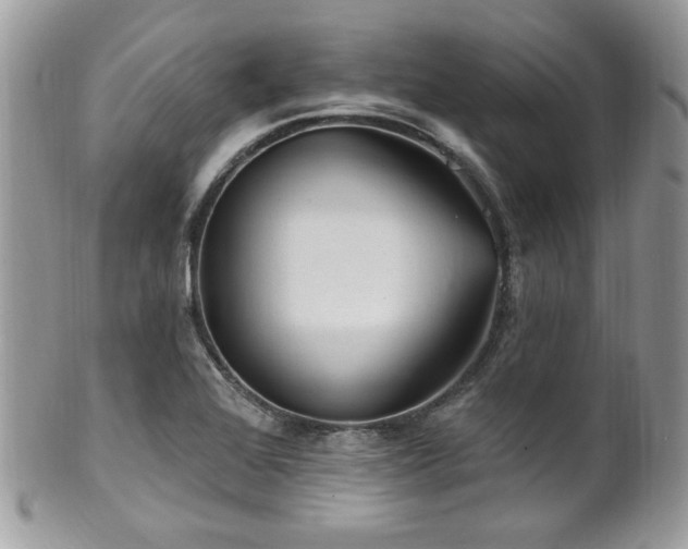 X0000102311368200807251429