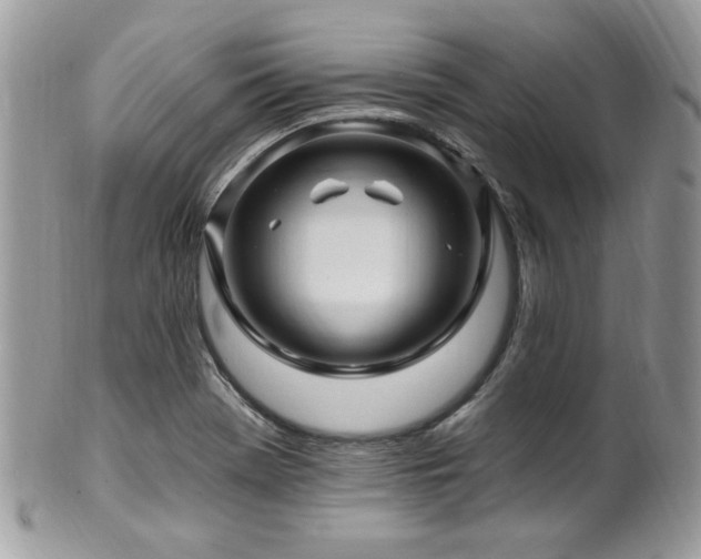 X0000102311369200807251429