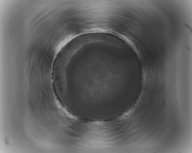 X0000102311373200807251429