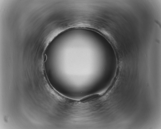 X0000102311374200807251429