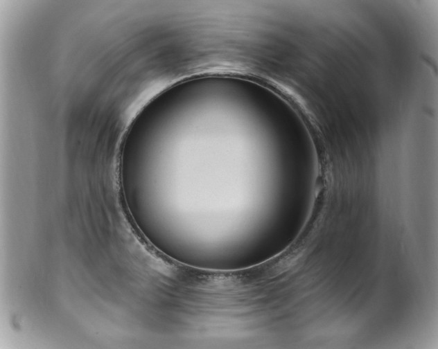 X0000102311375200807251429