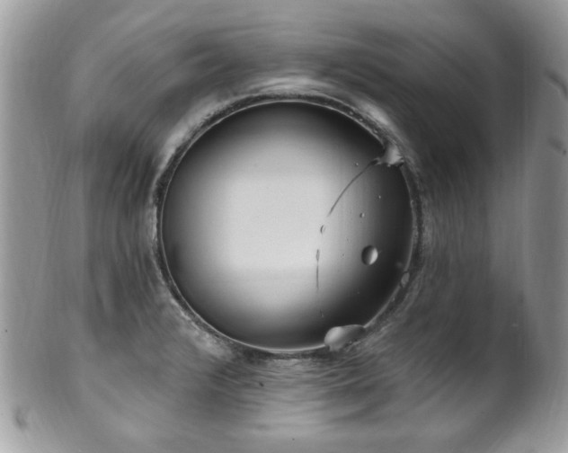 X0000102311376200807251429