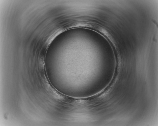 X0000102311377200807251429