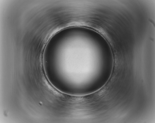 X0000102311382200807251429