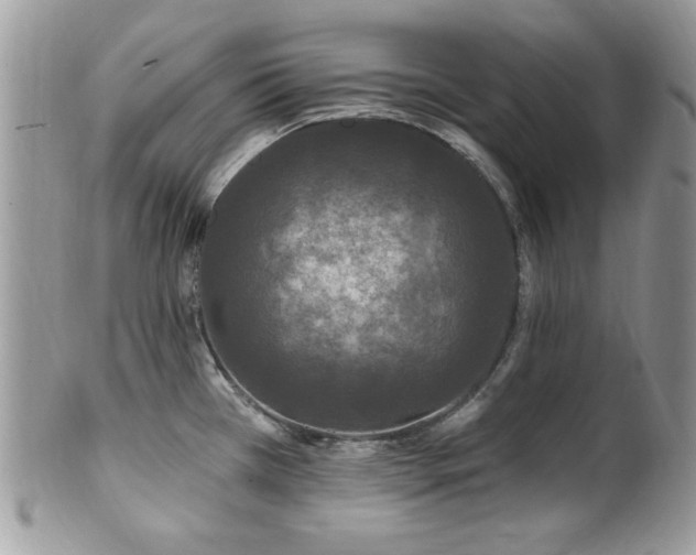 X0000102311385200807251429