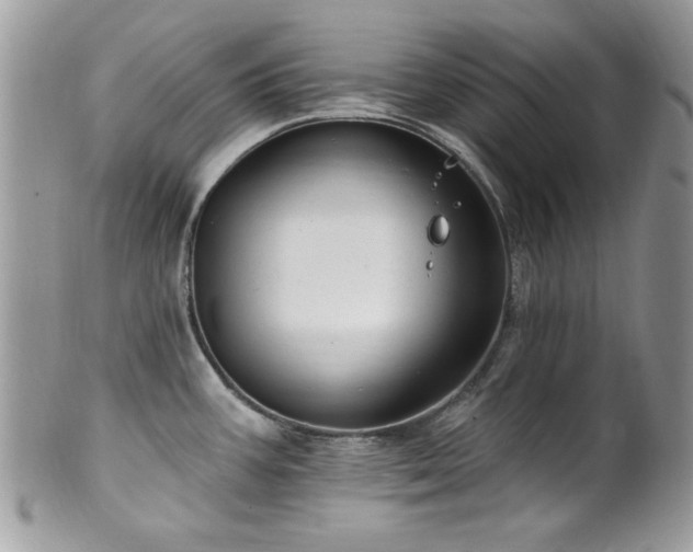 X0000102311387200807251429