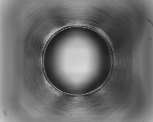 X0000102311388200807251429