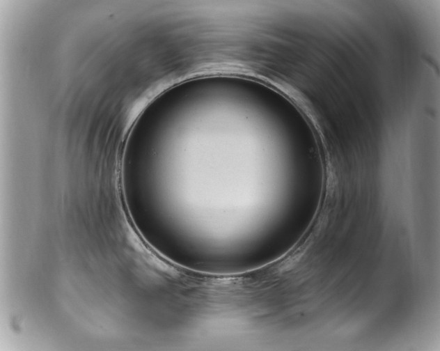 X0000102311390200807251429