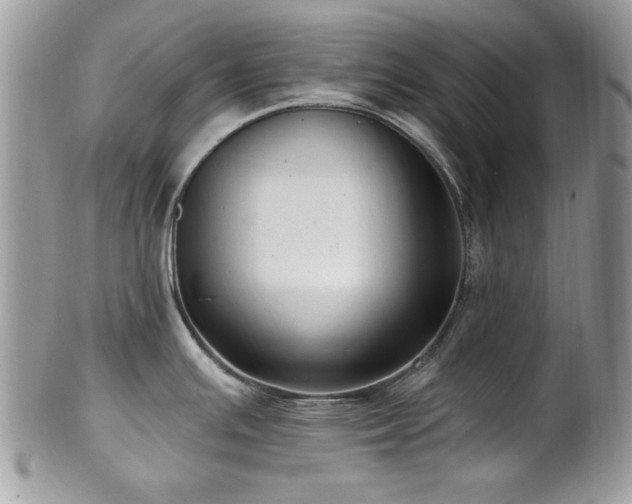 X0000102311391200807251429