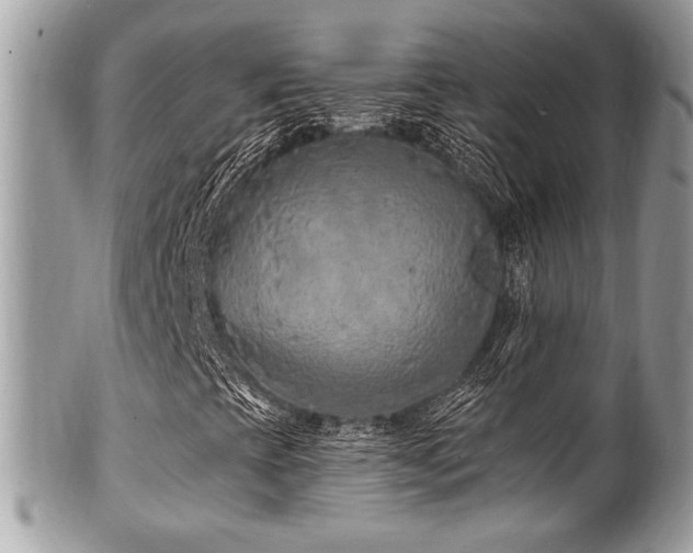 X0000102311393200807251428