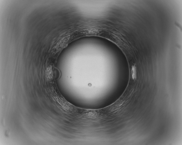 X0000102311395200807251428