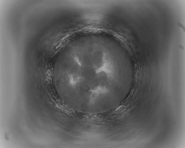 X0000102311397200807251428