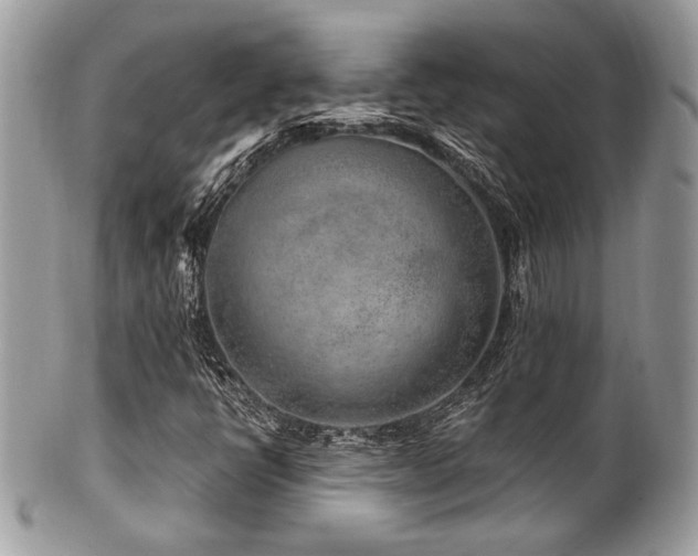 X0000102311398200807251428