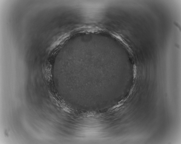 X0000102311399200807251428