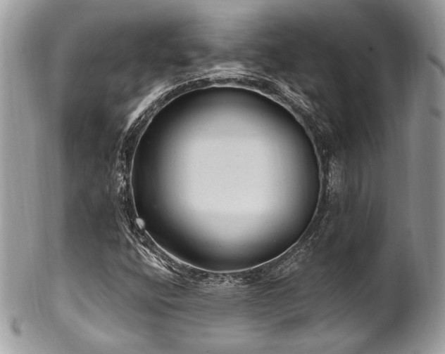 X0000102311400200807251428