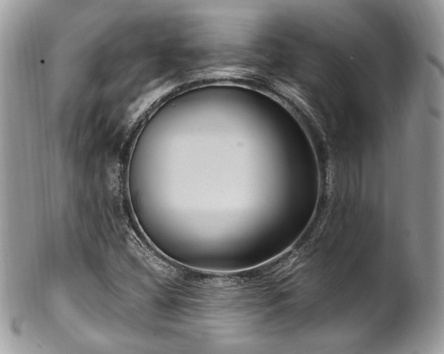 X0000102311404200807251428