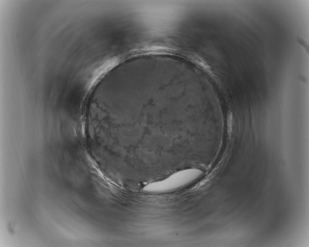 X0000102311405200807251428