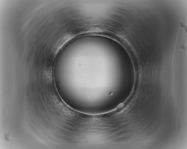 X0000102311409200807251429