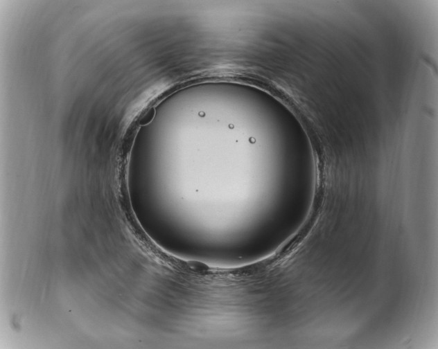 X0000102311410200807251429