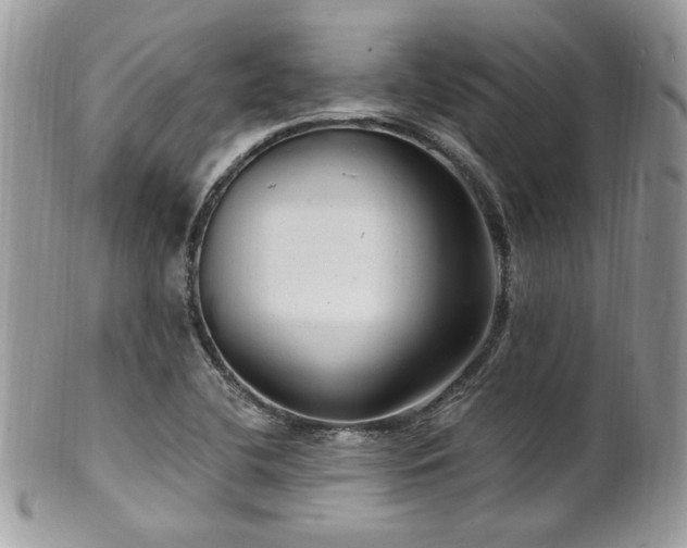 X0000102311412200807251429
