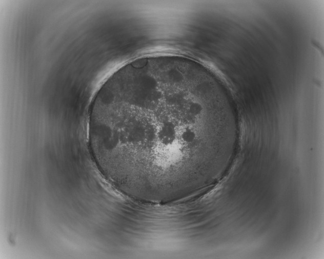 X0000102311413200807251429