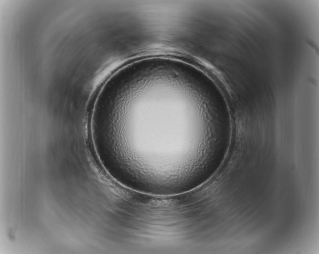 X0000102311415200807251429