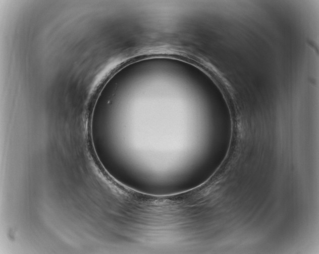 X0000102311416200807251429