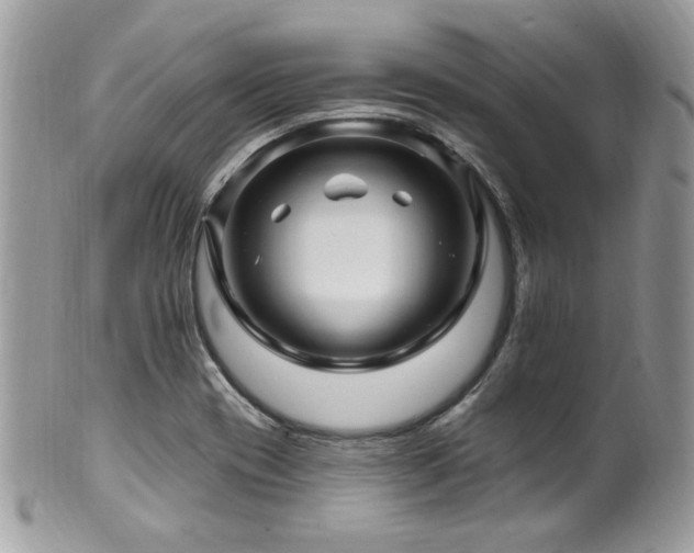X0000102311417200807251429