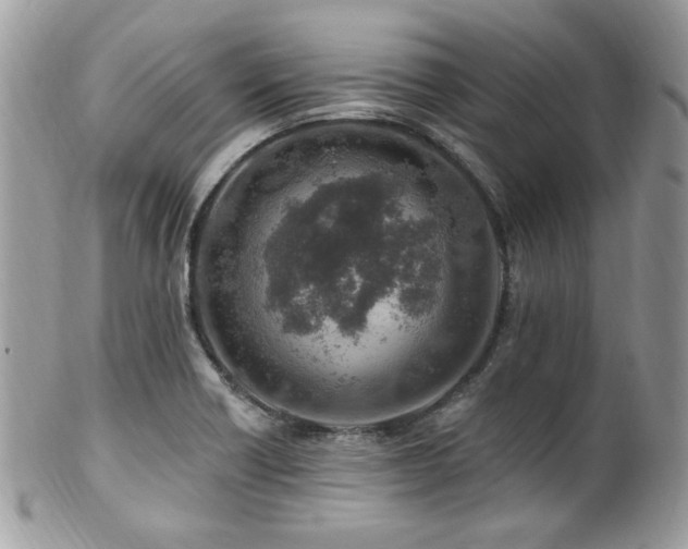 X0000102311418200807251429