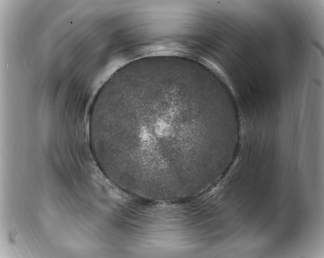 X0000102311419200807251429