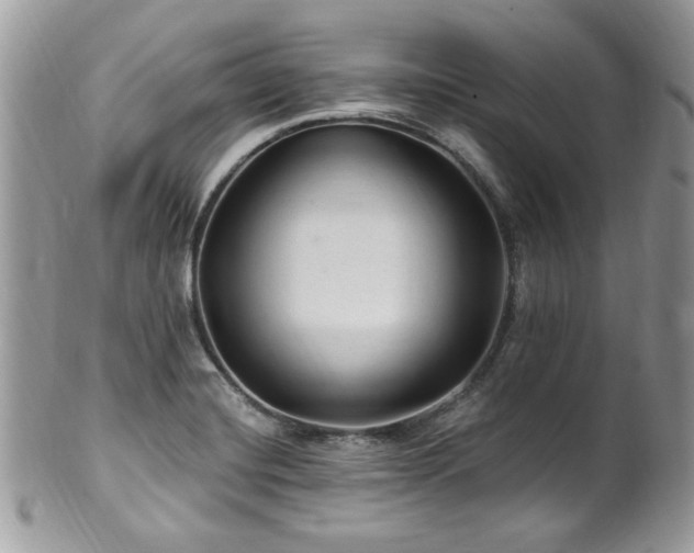 X0000102311420200807251429