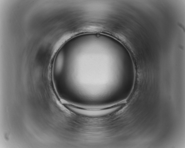 X0000102311421200807251429
