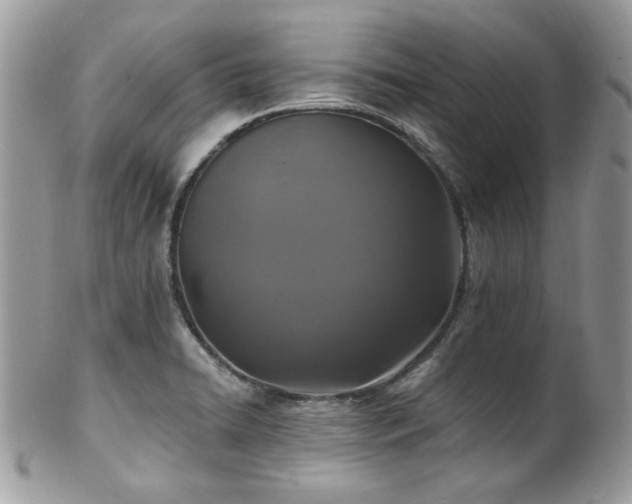 X0000102311422200807251429