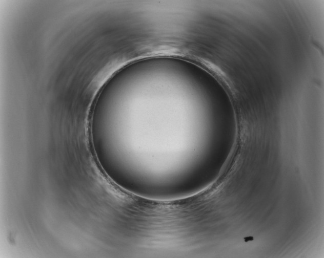 X0000102311423200807251429
