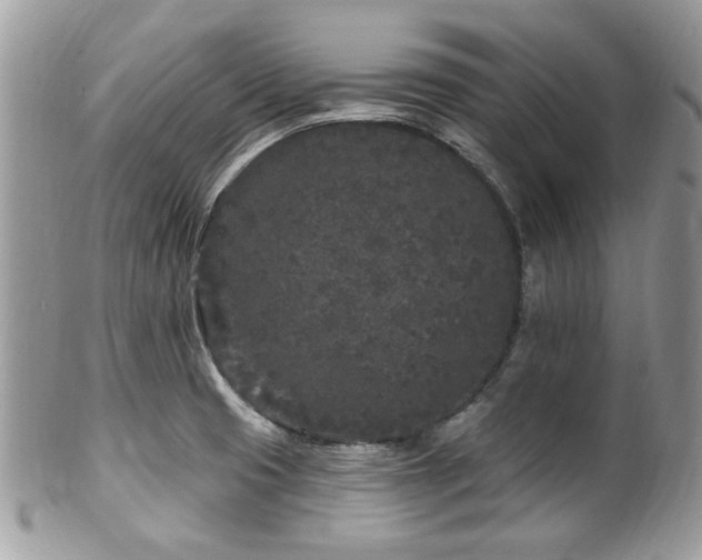 X0000102311425200807251429