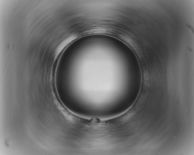 X0000102311426200807251429