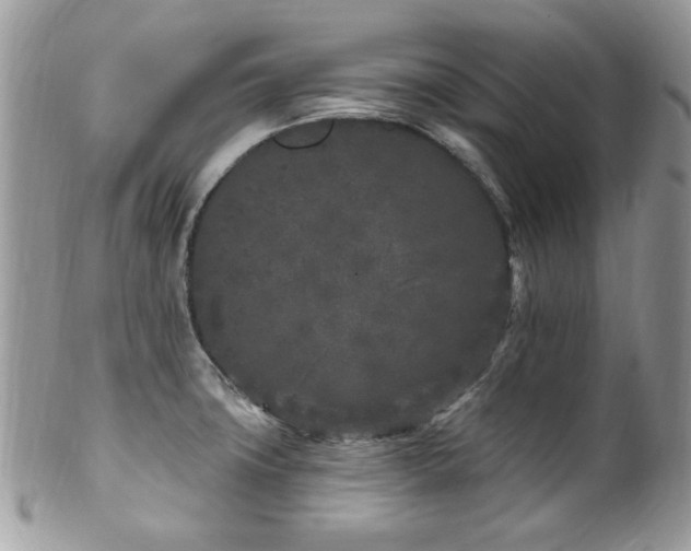 X0000102311427200807251429