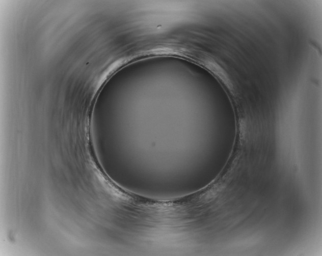 X0000102311428200807251429