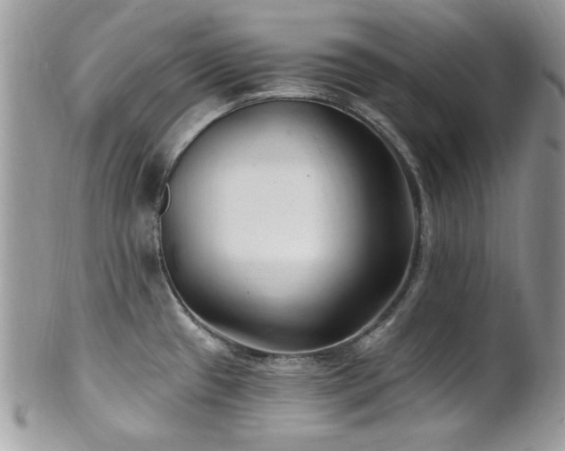 X0000102311433200807251429