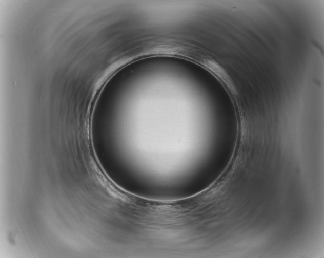 X0000102311436200807251429