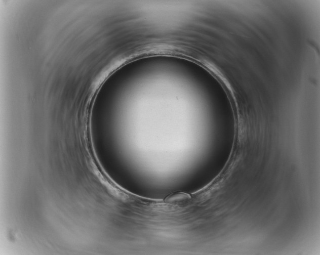 X0000102311437200807251429