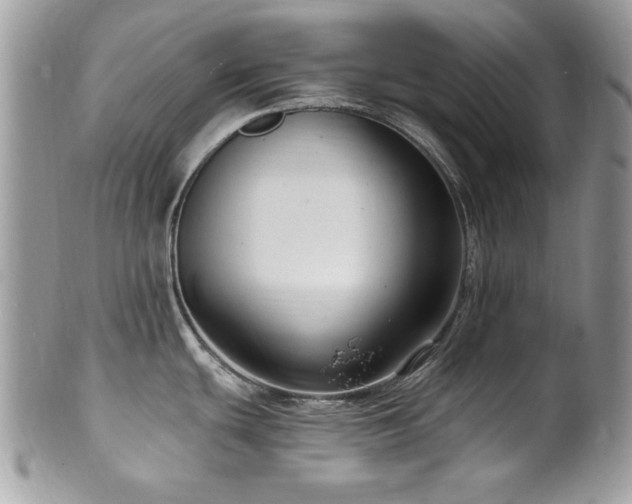 X0000102311439200807251429