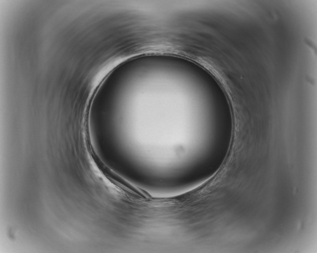 X0000102311440200807251429