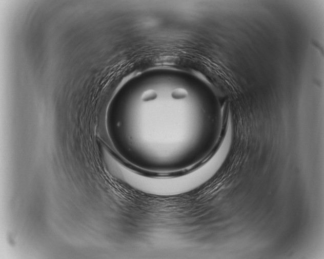 X0000102311441200807251428