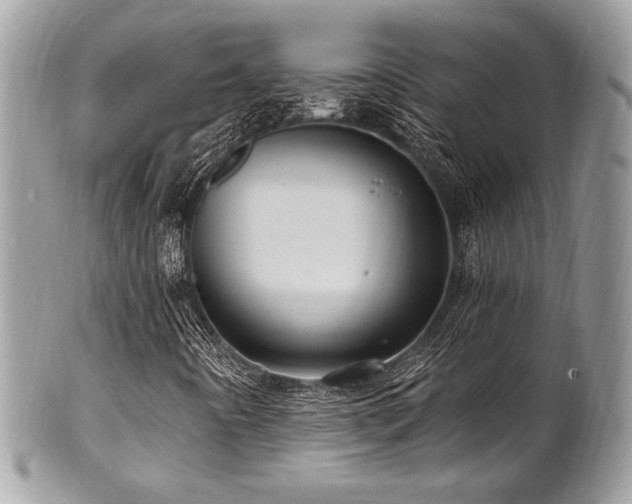 X0000102311442200807251428