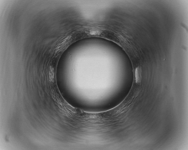 X0000102311443200807251428