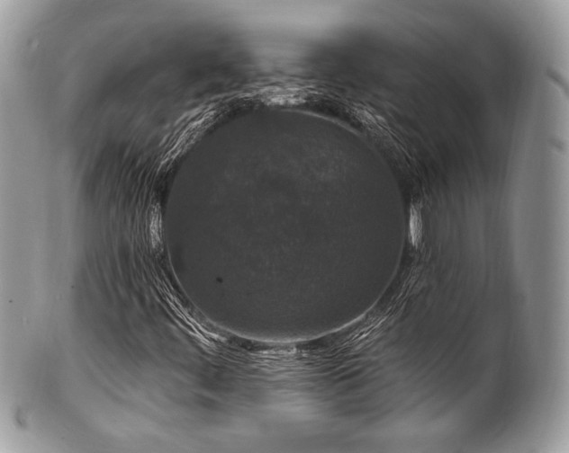 X0000102311444200807251428